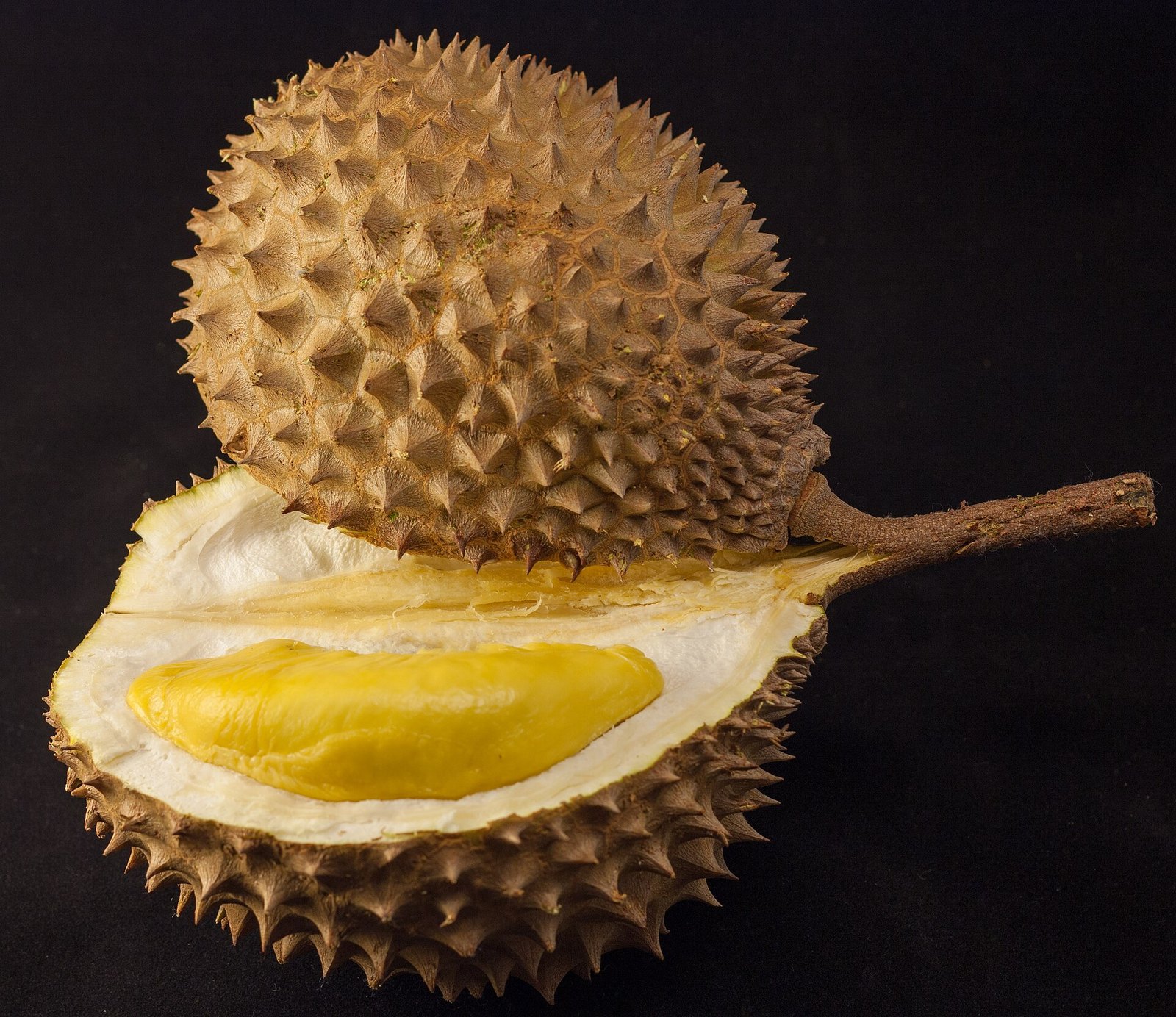 Climate Extremes Squeeze Malaysian Durian Growers