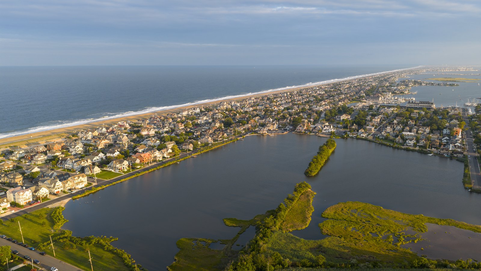 NJ Mayor Warns Shark-Selfie Trend Could Endanger Swimmers