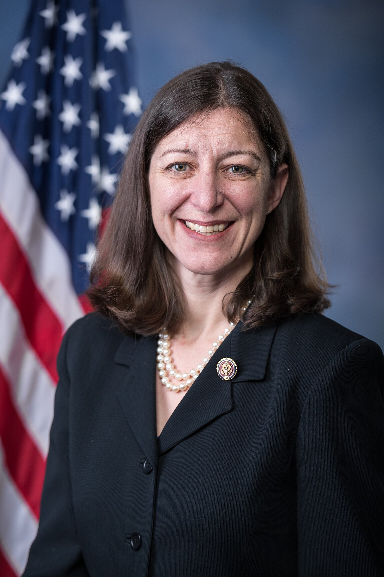 Virginia Democrats Pick Establishment Nominees in Two House Races